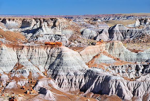 Petrified Forest and Painted Desert I