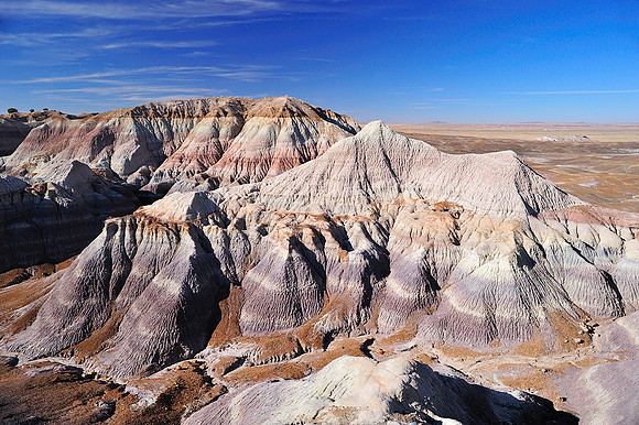 Petrified Forest and Painted Desert V
