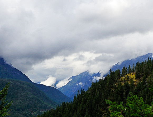 Cascades In The Mist