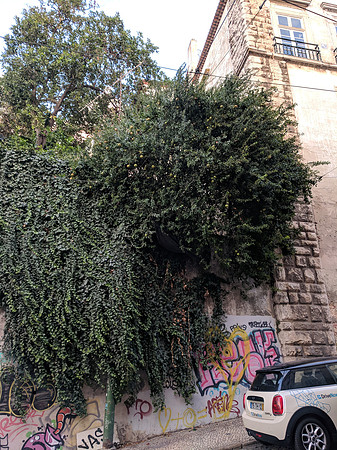 Day 1: Lisbon