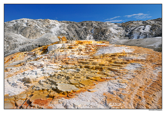 Mammoth Hot Springs, II