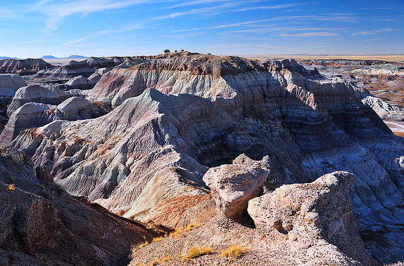 Petrified Forest and Painted Desert IV