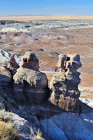 Petrified Forest and Painted Desert III