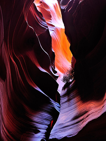 Antelope Slot Canyon V