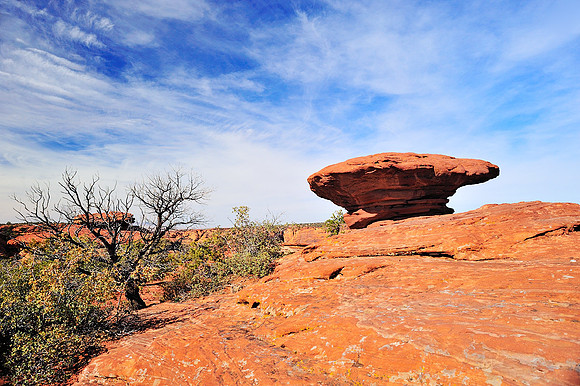 Weathered rock, Canyon de Chelly
