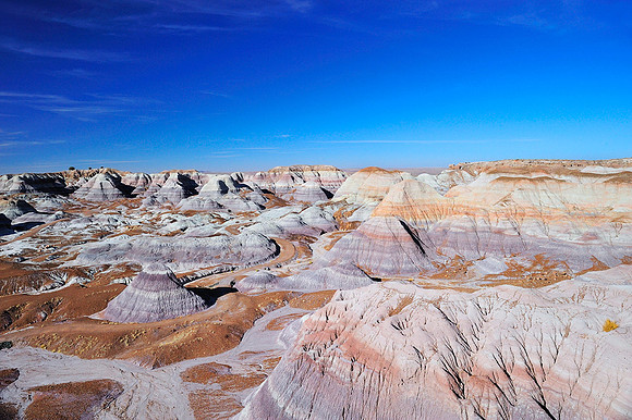 Petrified Forest and Painted Desert VI